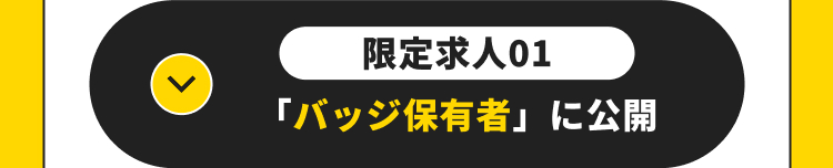 限定求人01
「バッジ保有者」に公開